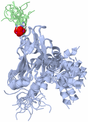 Image NMR Structure - all models