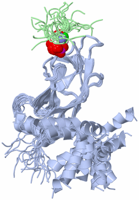 Image NMR Structure - all models