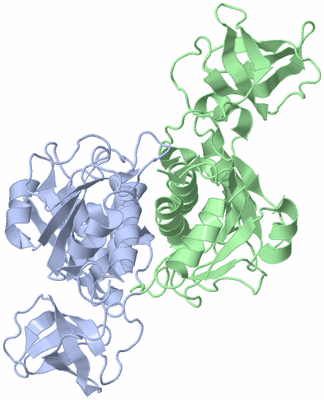 Image Asym./Biol. Unit