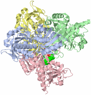 Image Asym./Biol. Unit - sites