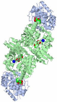 Image Biological Unit 1