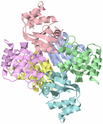 Image Asym./Biol. Unit