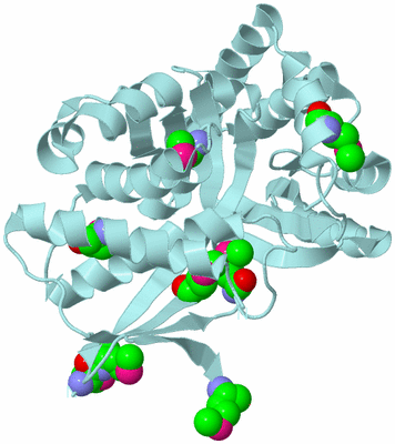Image Biological Unit 6