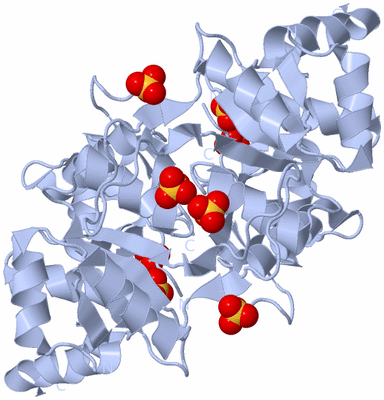 Image Biological Unit 1