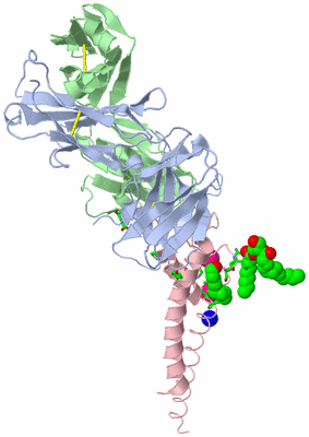 Image Asym. Unit - sites
