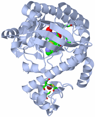 Image Biol. Unit 1 - sites