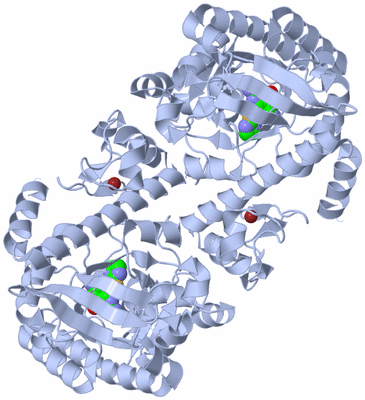 Image Biological Unit 2