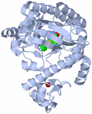 Image Biological Unit 1