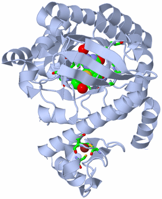 Image Biol. Unit 1 - sites