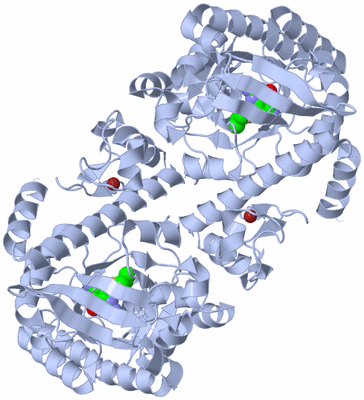 Image Biological Unit 2