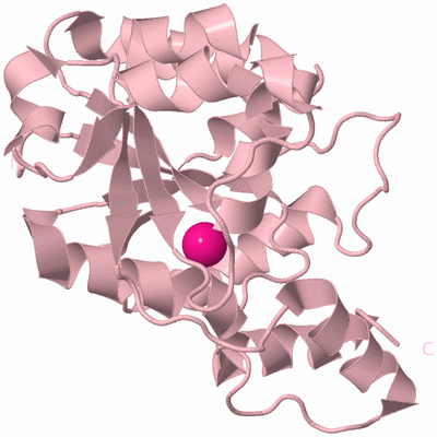 Image Biological Unit 3