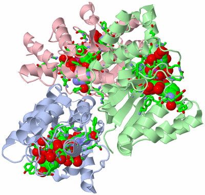 Image Asym./Biol. Unit - sites