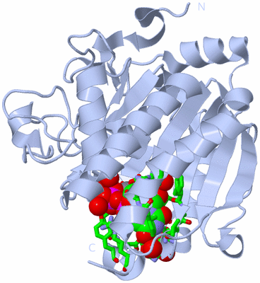 Image Biol. Unit 1 - sites