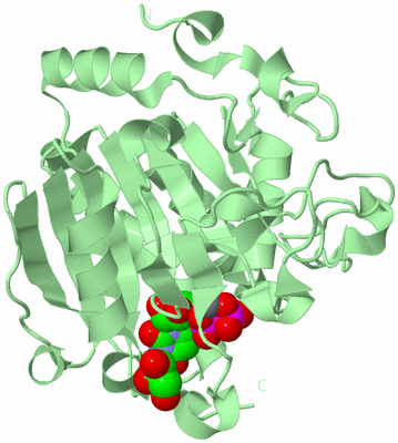 Image Biological Unit 2