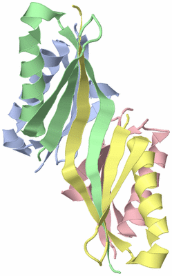 Image Asymmetric Unit