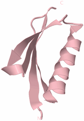 Image Biological Unit 3