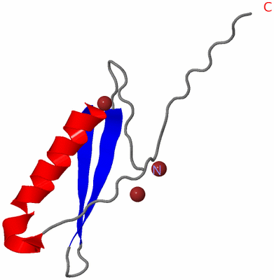 Image Asymmetric Unit