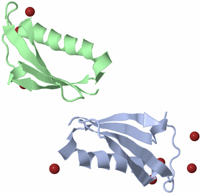 Image Asymmetric Unit