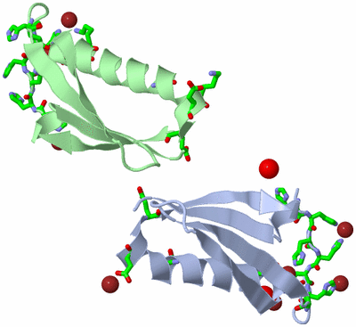 Image Asym. Unit - sites