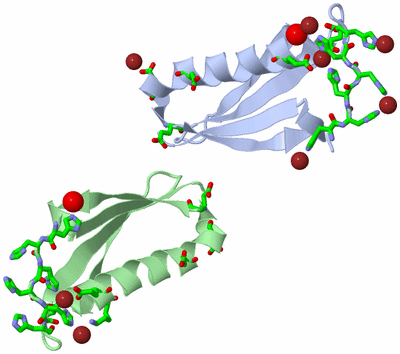 Image Asym. Unit - sites