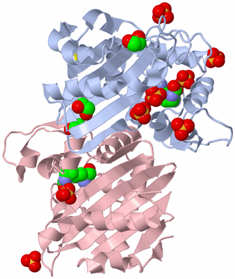 Image Biological Unit 1