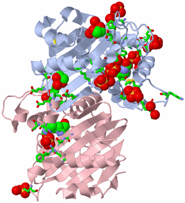 Image Biol. Unit 1 - sites