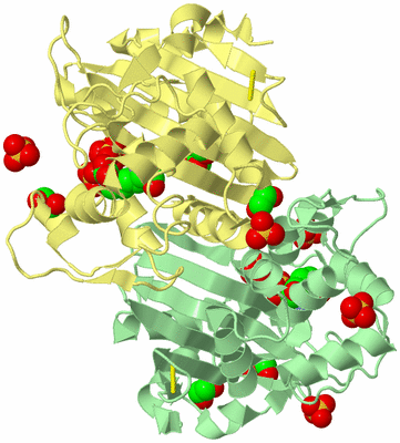 Image Biological Unit 2