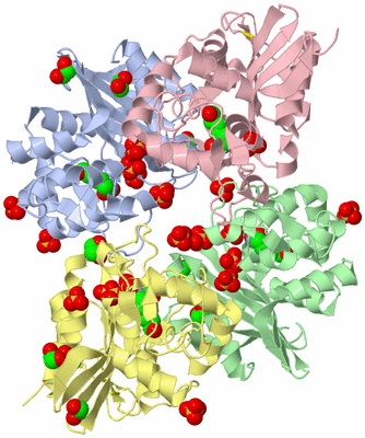 Image Biological Unit 3