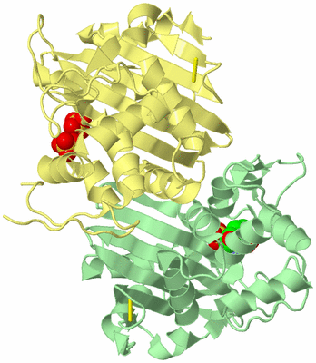 Image Biological Unit 2