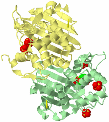 Image Biological Unit 2