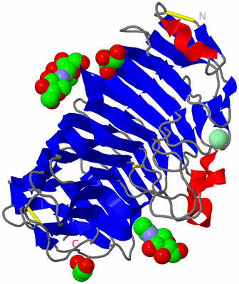 Image Asym./Biol. Unit