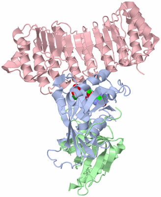 Image Biological Unit 1