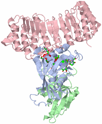 Image Biol. Unit 1 - sites