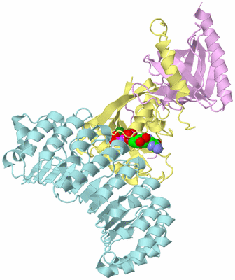 Image Biological Unit 2