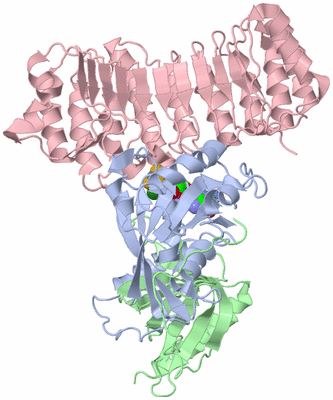 Image Biological Unit 1