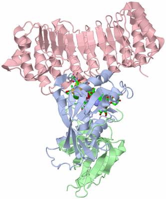 Image Biol. Unit 1 - sites