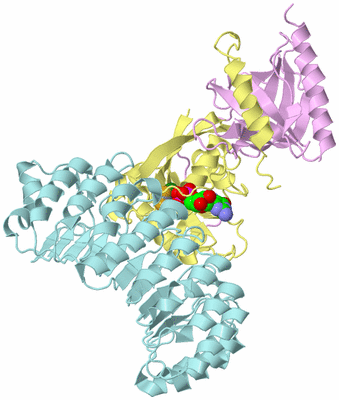 Image Biological Unit 2