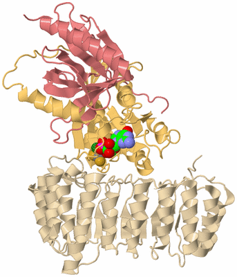 Image Biological Unit 3