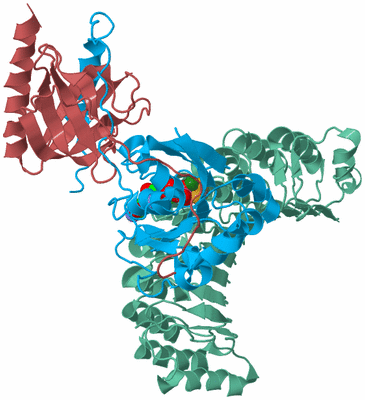 Image Biological Unit 4