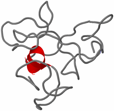 Image NMR Structure - model 1