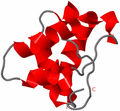 Image NMR Structure - all models