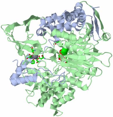 Image Asym./Biol. Unit - sites