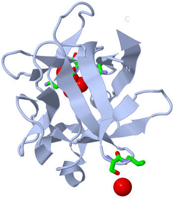 Image Biol. Unit 1 - sites