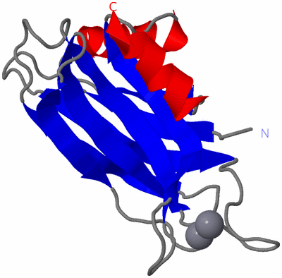 Image NMR Structure - model 1