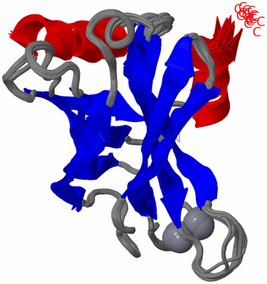 Image NMR Structure - all models