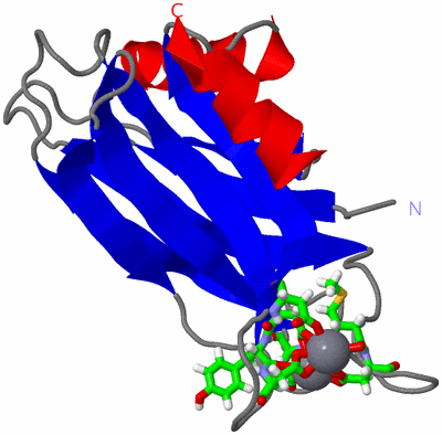 Image NMR Structure - model 1, sites