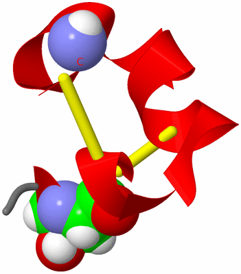 Image NMR Structure - model 1