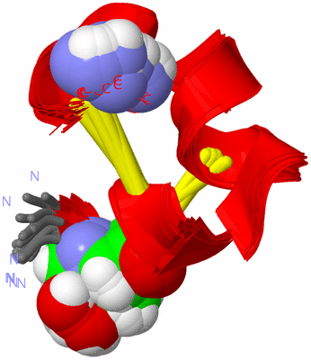 Image NMR Structure - all models