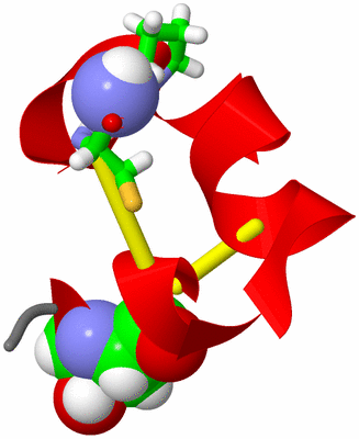 Image NMR Structure - model 1, sites