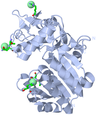 Image Biol. Unit 1 - sites